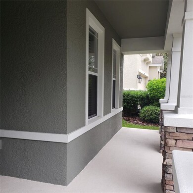 15707 Oakleaf Run Dr, Lithia, FL 33547 - photo 2