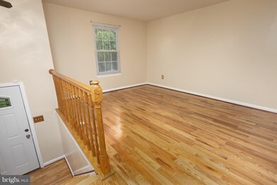 1234 Violette Ave, Baltimore, MD 21229 - photo 3