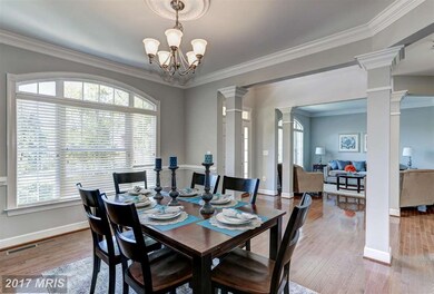 3807 Lacy Blvd, Falls Church, VA 22041 - photo 6