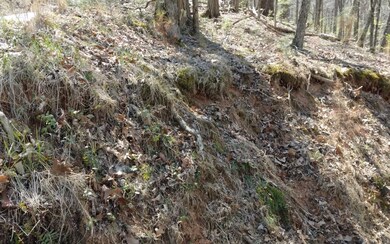 M99 Sleepy Hollow Rd, Ellijay, GA 30536 - photo 6