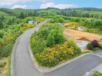 0 Sanderling (Lot 2) Dr, Hoquiam, WA 98550 - photo 2