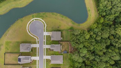 113CardinalFlower.NicoleBurbagePhoto-4