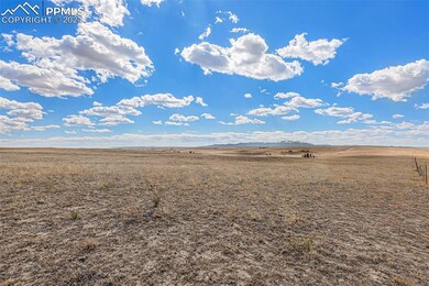 15247 Mcclelland Rd, Calhan, CO 80808 - photo 3