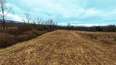 20 Nelson Rd, Danby, NY 14850 - photo 7