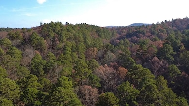 1261 Polk County Road 61, Mena, AR 71953 - photo 6