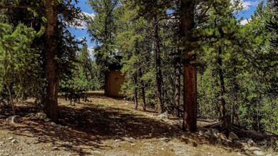 308 Quarry Rd, Fair Play, CO 80440 - photo 4