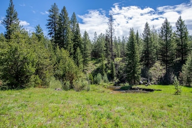 0 Tbd 36 Clear Creek Rd, Cascade, ID 83611 - photo 5