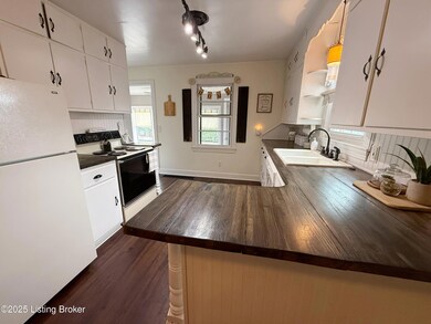 1445 Campbellsville Rd, Hodgenville, KY 42748 - photo 5