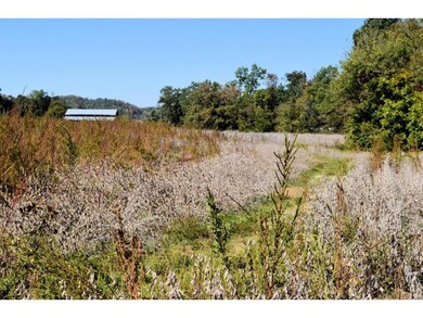 485 S Water Fork Rd, Greeneville, TN 37743 - photo 6