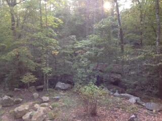 The great outdoors!