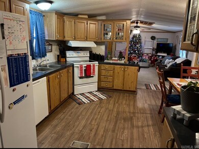 233 Redress Ln, Bee Branch, AR 72013 - photo 3