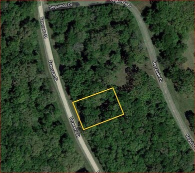 6311 Tercero, Brazoria, TX 77422 - photo 3