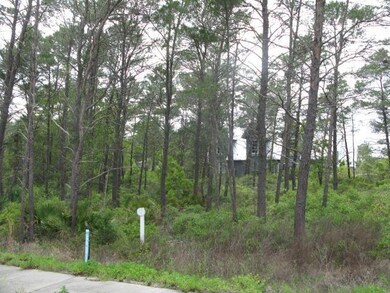 Pine Cone Trail #5