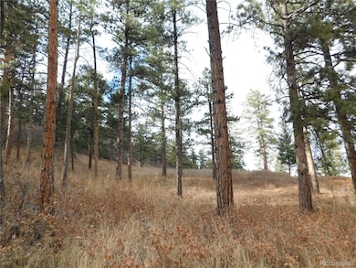 8055 Acoma Dr, Larkspur, CO 80118 - photo 4