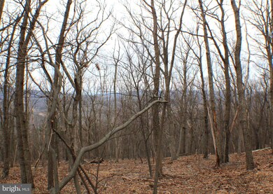 25 Cove Creek, Capon, WV 26801 - photo 6