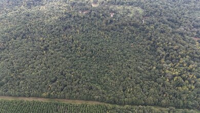 0 Parish Road 660 Lot unit WP001, Winnfield, LA 71483 - photo 2