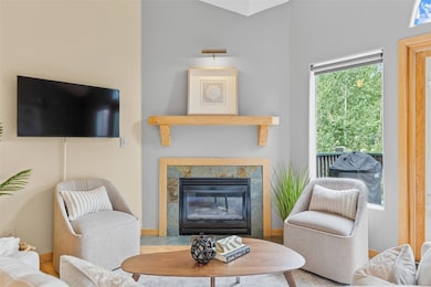 803 Lakepoint Ct unit B, Breckenridge, CO 80424 - photo 3