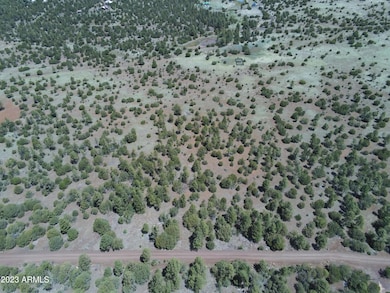 TBD Acr N3263 Parcel 1 -- unit 34, Vernon, AZ 85940 - photo 4