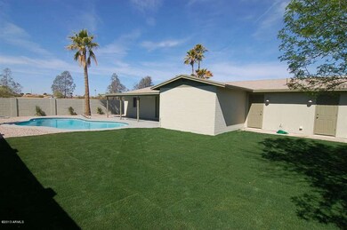 4 Back Yard