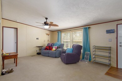 150 Pine Tree Drive-4