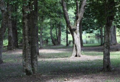 6052 Grant 8, Sheridan, AR 72150 - photo 6