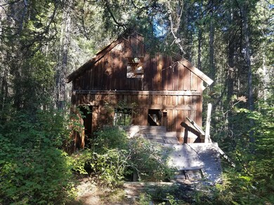 TBD Quinns Meadow Rd, Colville, WA 99114 - photo 5