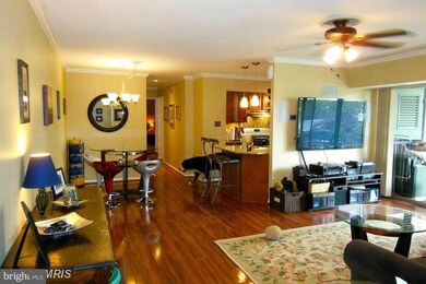 3706 N Rosser St unit 202, Alexandria, VA 22311 - photo 4