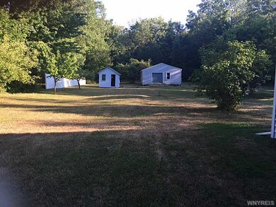 Backyard.