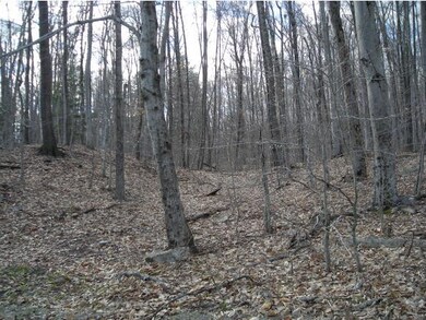 27.67 acre lot