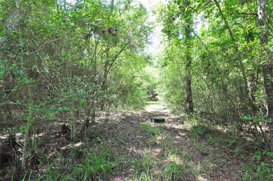 10106 Seneca Trail, Magnolia, TX 77354 - photo 4