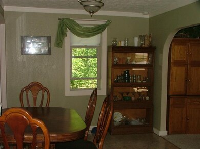 14646 Louhi St, Kaleva, MI 49645 - photo 3