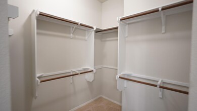 Walk in closet with light carpet