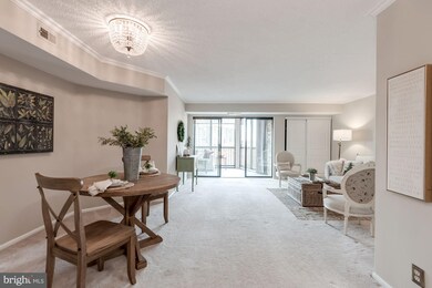 Montebello unit 1209, Alexandria, VA 22303 - photo 5