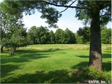 Yard/Garden