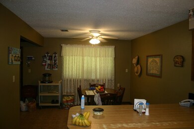 60 Morgan Seal Rd, Picayune, MS 39466 - photo 6