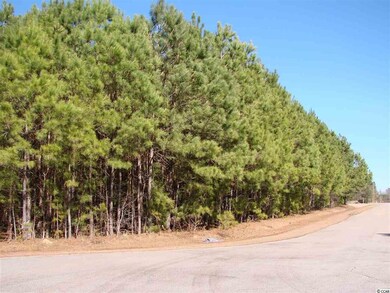 Lot 3 Tee Jay Ct, Conway, SC 29527 - photo 2