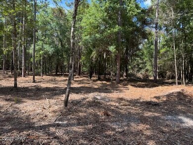 0000 Derby Dr, Chipley, FL 32428 - photo 4