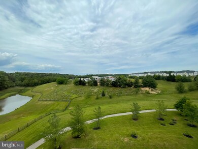 8600 Roaming Ridge Way unit 403, Odenton, MD 21113 - photo 7