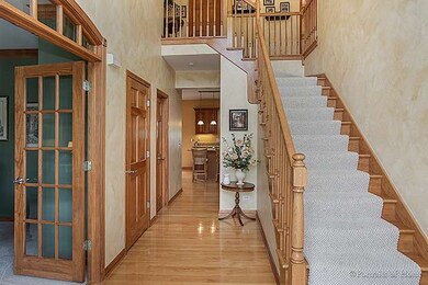 247 Violet Ln, Batavia, IL 60510 - photo 3