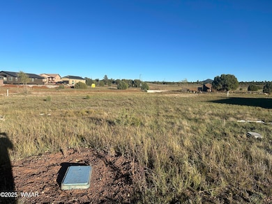 1041 S Lorenzo Sitgreaves Dr, Show Low, AZ 85901 - photo 2