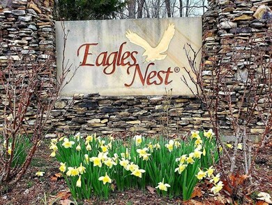 Eagle's Nest pic 16