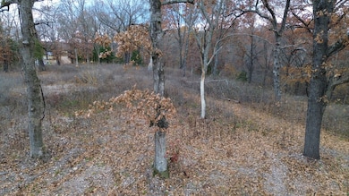 0 Tbd Elk Springs Rd, Noel, MO 64854 - photo 5