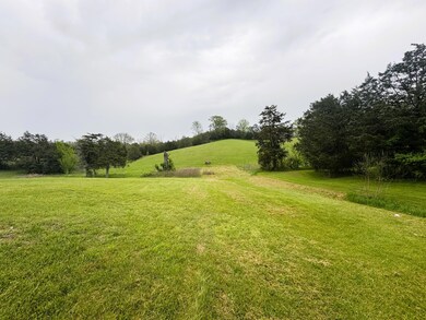 IMG_1994