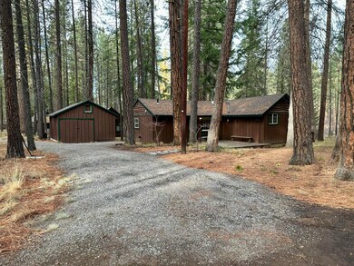 Surrounded by Pine Forest