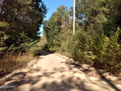 0 Little John Ln unit 748957, Bonifay, FL 32425 - photo 2