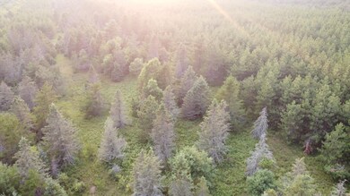 ON Pine Rd N, Tomahawk, WI 54487 - photo 4