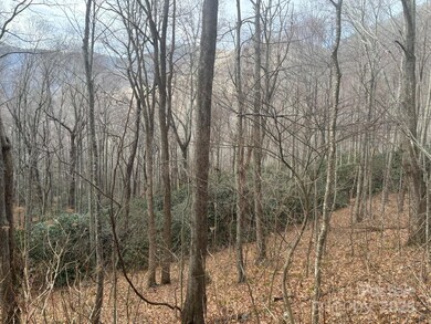 68 Grouse Rd unit 68, Clyde, NC 28721 - photo 5