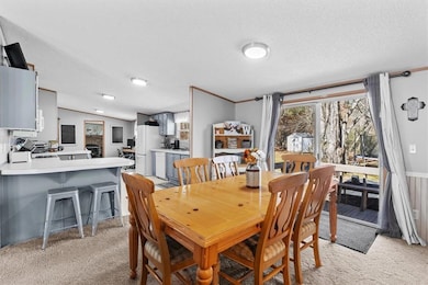 Dining space with light carpet and a textured ceil