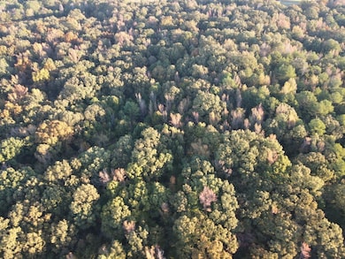 Franklin Dr, Batesville, MS 38606 - photo 2