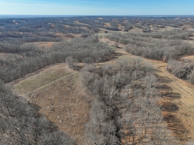 DJI_20250128112631_0294_D